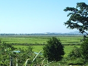 área de 230ha para arroz no sul de Santa Catarina
