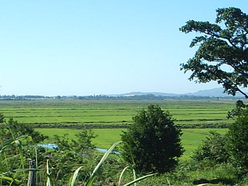 Foto 1 - área de 230ha para arroz no sul de Santa Catarina